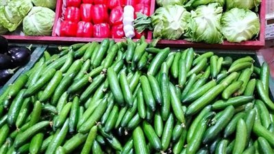 البرتقال ب7 جنيهات.. أسعار الخضروات والفاكهة بأسواق الفيوم 