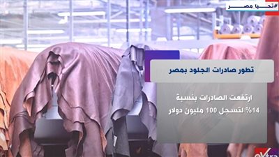تطور صادرات الجلود في مصر (شاهد)