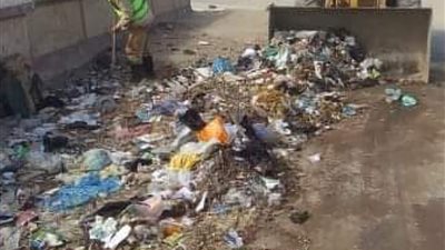 محافظ الإسماعيلية يتابع جهود الوحدات المحلية في أعمال النظافة والتجميل