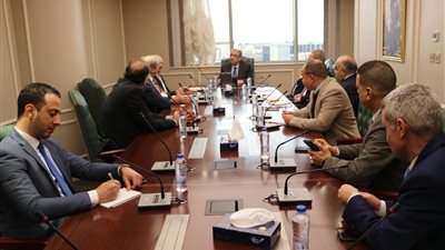 وزير الكهرباء يلتقي رئيس شركة آي أم الإنجليزية للطاقة لبحث التعاون