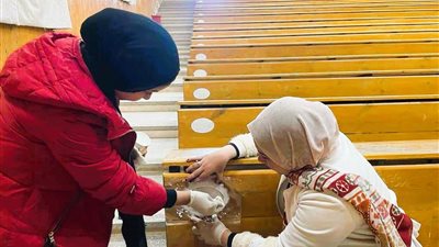 بدء تكويد مدرجات وقاعات جامعة جنوب الوادي 