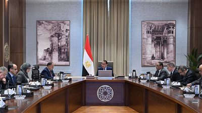 الحكومة تقرر تشكيل مجلس وطنى لتوطين تكنولوجيا الرقائق الإلكترونية 