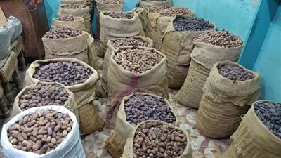 زيادة أسعار البلح بقنا من 5 إلى 10 جنيهات