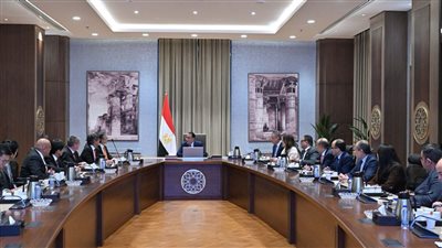 رئيس الوزراء يلتقي وفد شركة 