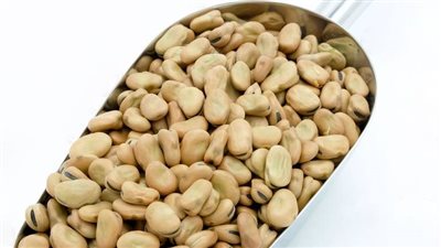 ارتفاع سعر الفول اليوم الأربعاء عند التاجر والأسواق المصرية