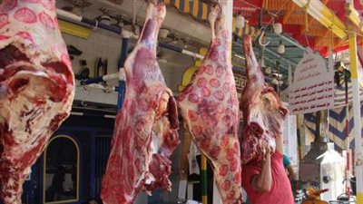 أسعار اللحوم صباح اليوم الأربعاء من أرض المزرعة 