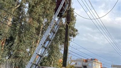 الغربية: صيانة مكثفة لأعمدة الإنارة بالمحلة 