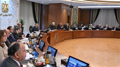 وزير المالية يعرض اجمالى المسجلين بمبادرة السيارات للمصريين بالخارج