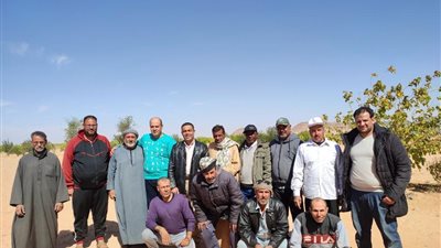 بحوث الصحراء ينظم ندوة إرشادية للمزراعين والمنتفعين بمنطقة آبار الريف المصري بتوشكى