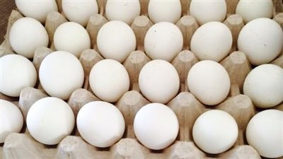 سعر البيض الأبيض.. أسعار كرتونة البيض اليوم الأربعاء بالمزرعة