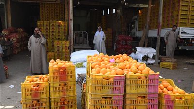 برنامج التنمية المحلية يُمول مشروعين بمدينة قنا بتكلفة 80 مليون جنيه 