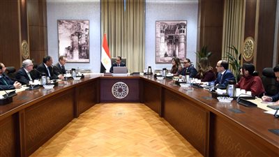 رئيس الوزراء يستعرض مع مسئولي شركة 