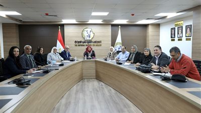 لجنة المحافظات 