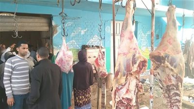 ضبط 122 مخالفة تموينية  في حملات بالمنيا 