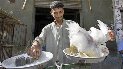 الدواجن والبيض.. الإنتاج قليل والأسعار باهظة