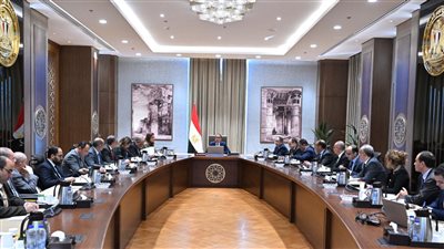 مدبولي يستعرض مُؤشرات الأداء بالمناطق الحرة الخاصة ومعايير لإنشاء أخرى جديدة