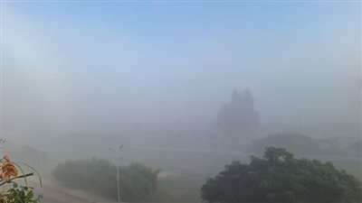 شديد البرودة ليلًا.. طقس اليوم ودرجات الحرارة 