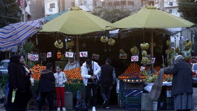 صندوق النقد.. يعلن اتفاقاً في القريب مع مصر بشأن حزمة مالية جديدة