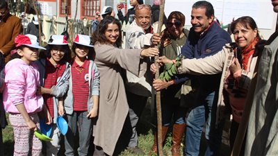 البيئة تشارك في زراعة ٣٠٠ شجرة مثمرة بعدد من المدارس في القاهرة