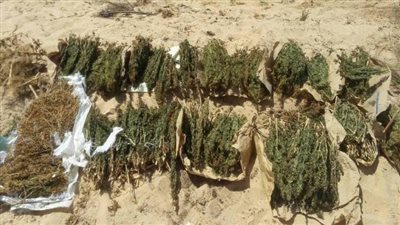 تجديد حبس 4 مُتهمين بحيازة المخدرات بكرداسة