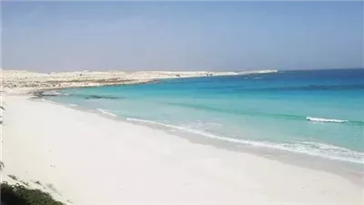 أستاذ استثمار يكشف أهمية مشروع رأس الحكمة (فيديو)