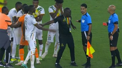 جهاد جريشة: الحكام المصريون شرفونا في أمم أفريقيا وقد يديرون النهائي