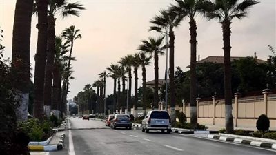 طقس الإسماعيلية.. مائل للبرودة ونشاط للرياح