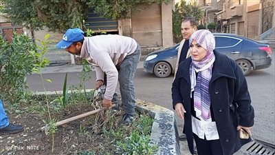  محافظة الدقهلية يتابع جهود المراكز لزراعة الأشجار المثمرة والزينة 
