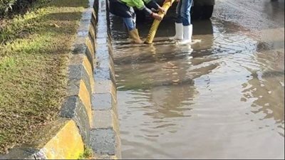  الإسكندرية تعمل على سطح مياه الأمطار من الشوارع 