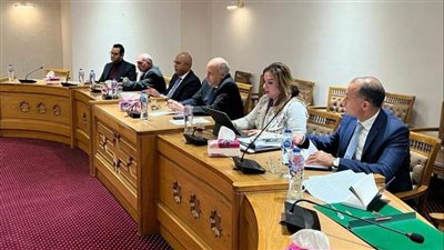 مساعد وزير الخارجية يستقبل مدير مركز الأزمات الفرنسي للتعاون بشأن غزة