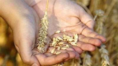 فضل العمل في الإسلام