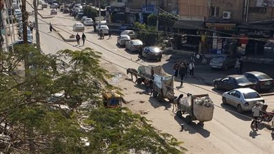 «نبّاشين» القمامة «مافيا» تهدد حياة أهالى الشرقية