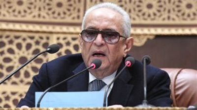 أبوشقة : المشروعات العملاقة واقع لا ينكرة الإ جاحد أو ناقم 