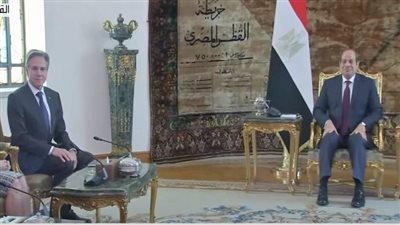 وزير الخارجية الأمريكي يلتقي الرئيس السيسي.. فيديو