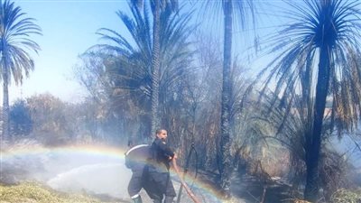 أسوان تكثف جهودها لتلافى ملاحظات المحافظ 