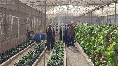 المركزي للمناخ الزراعي ومشروع 