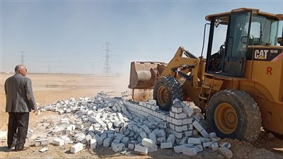 إزالة 95 حالة تعدِِ على الأراضي الزراعية بالمنيا 