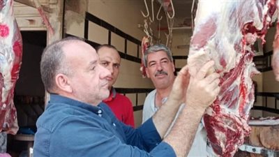 ضبط سلع غذائية منتهية الصلاحية في حملات بالمنيا 