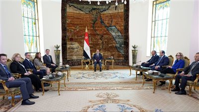 وزير الخارجية الأمريكي يشيد بالجهد المصري المقدر الداعم للأمن والاستقرار في المنطقة