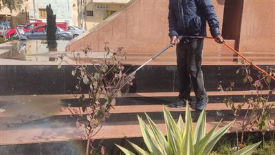 رفع 720 طن قمامة وأتربة بالمنطقة المركزية بالدقهلية