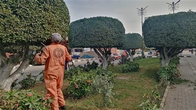 جهاز التطوير والتجميل يواصل أعمال صيانة وتهذيب حدائق وميادين المحافظة