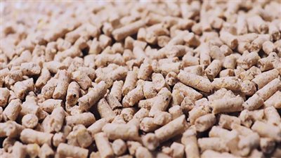 صدمة فى سوق الأعلاف