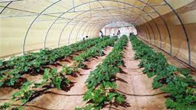 8.8 مليار دولار قيمة اتفاقيات التمويل التنموى لمصر فى 2023