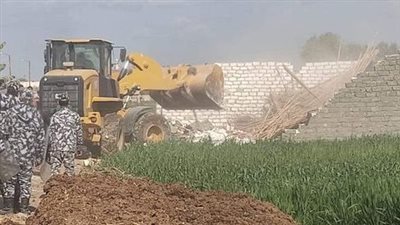 المحليات تتابع جهود المنيا في الحفاظ على الرقعة الزراعية