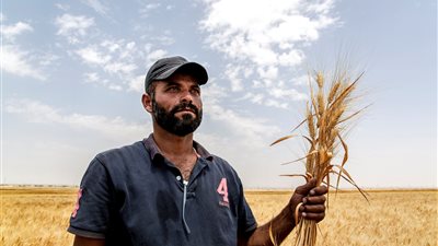 الفاو تطلق المنتدي العربي للخدمات الإرشادية الزراعية