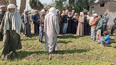 الزراعة: معهد أمراض النباتات يستعرض أنشطته البحثية والخدمية خلال يناير 2024
