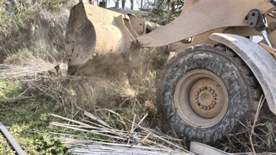 إزالة 55 حالة تعد على الأراضي الزراعية بالبحيرة 