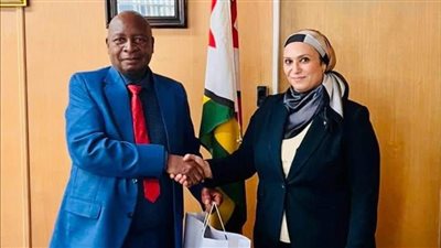 سفيرة مصر في هراري تلتقي وزير الطاقة الزيمبابوي