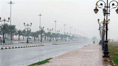 أمطار رعدية غزيرة وجريان سيول في عدد من مناطق السعودية 