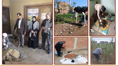 زراعة الشرقية تنفذ فعاليات حملة صيانة القمح بمراكز ومدن الشرقية